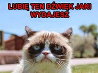 Świetny dzwięk