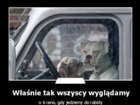 Właśnie tak wszyscy wyglądamy