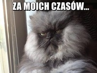 Haha kot senior :P Zobacz jaką ma rade dla młodszych :P