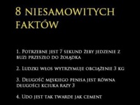 8 niesamowitych faktów - w szczególności punkt 3 ;)