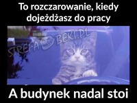 Nadal stoi ;(