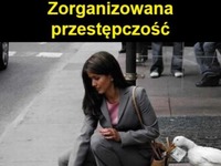 przestępczość zorganizowana