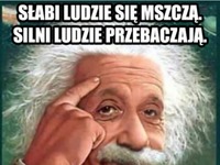 zastosuj.