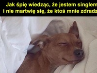 Dobrze się spi