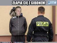 Sanki za gibona