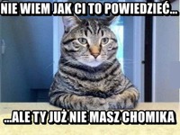 Nie masz chomika