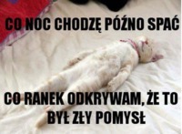 Co ranek odkrywam, że to był zły pomysł