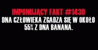 DNA człowieka zgadza się w 55% z DNA ... Wiesz czego? :D