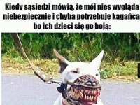 KUPIĘ MU TAKI XD