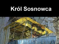 Król Sosnowca