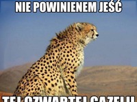 Nie powinien jesć, tej czwartej gazeli