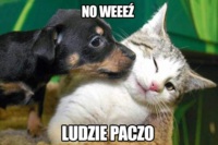 Ludzie paczo :D