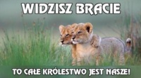 Widzisz bracie :D