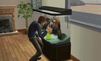 Simsy