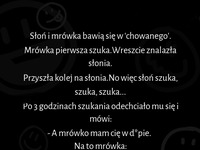 Słoń i mrówka bawią się w chowanego! Nie zgadniesz kto wygrał XD