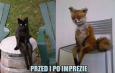 Po imprezie