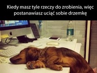 tyle rzeczy do zrobienia!