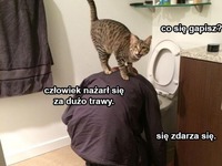 Się zdarza się