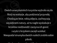 Co zrobiliby ruscy na widok amerykanów gonionych przez niedźwiedzia?? HAH :D