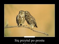 Się przytul po prostu