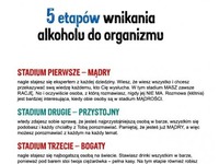 PIĘĆ ETAPÓW wnikania ALKOHOLU do organizmu! Musisz to zobaczyć :D