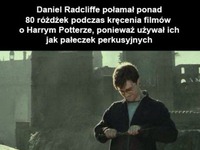 Połamał różczki ;(