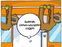 wszystko zajęte