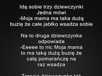 Idą sobie trzy dziewczynki i rozmawiają o swoich matkach :D