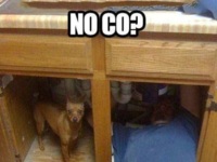 NO CO? :D