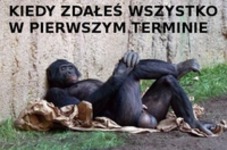 Zdałem!