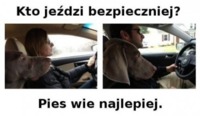 Pies wie lepiej :D