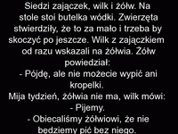 Zając wilk i żół spotkali sie przy wódce. Zając bohaterem imprezy XD