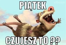 Strefa marzeń taka jest