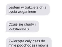 Oczyszczony