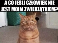 ...tylko ja jestem jego?!