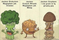 Co Ci przypomina Grzyb? ;D