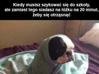 kiedy musisz się otrząsnąć