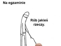 Rób jakies rzeczy