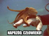 Naprzód