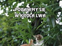 Pobawmy się w Króla Lwa