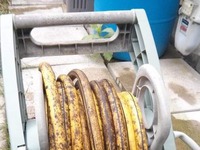 Banan na metry