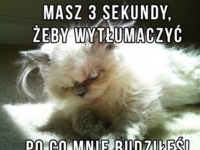 Masz 3 sekundy...!