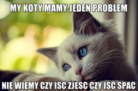 Problem kotów