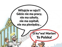 Najlepsza odpowiedź na to powitanie! HAHA MISTRZ