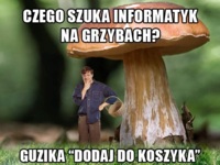 Grzyby