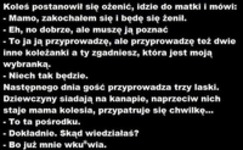 Facet postanowił się ożenić. Przedstawia trzy kandydatki swojej matce i mówi... :D