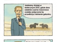 nosorożce