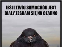 Jeśli twój samochód