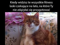 Kiedy widzisz te wszystkie fit laski