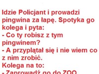 Policjant spotyka pingwina! haha co za akcja :D